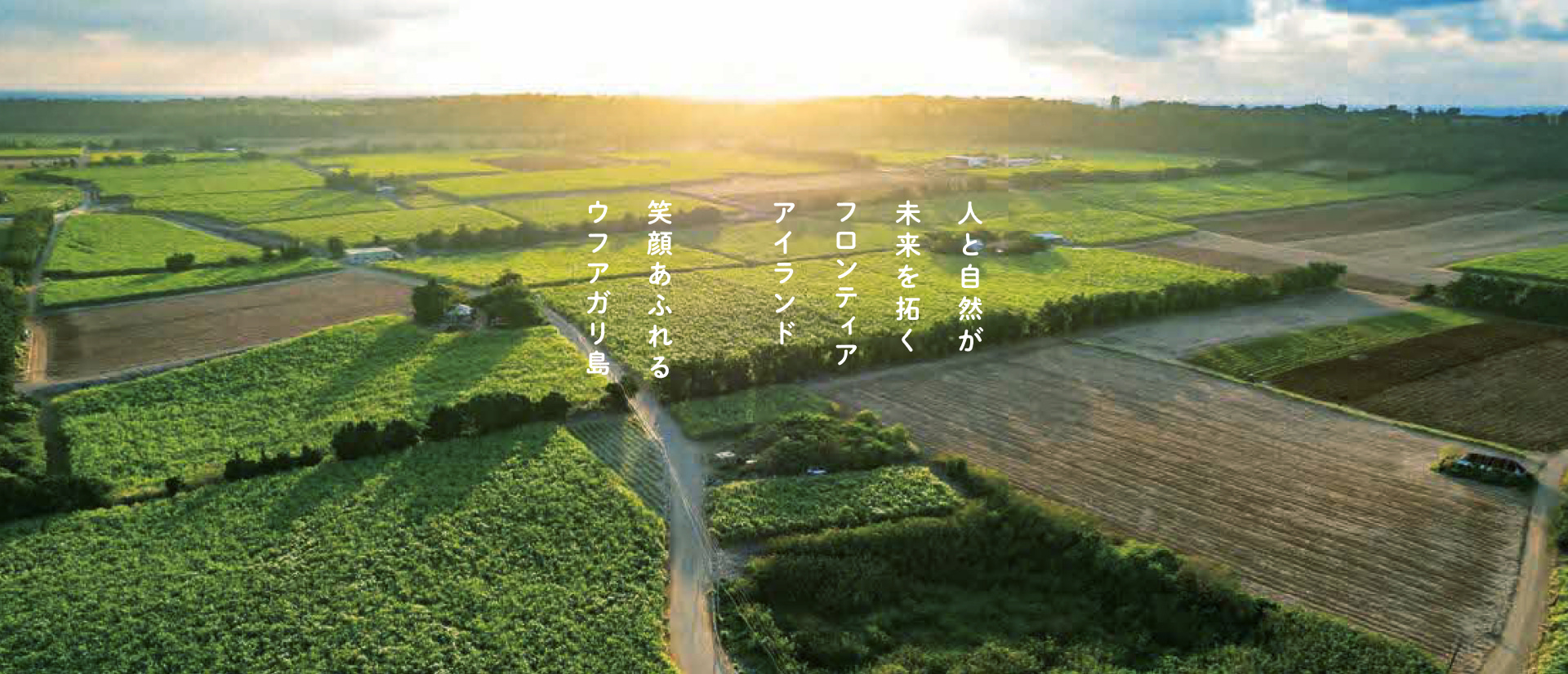 移住定住サブサイト スライド1 PC