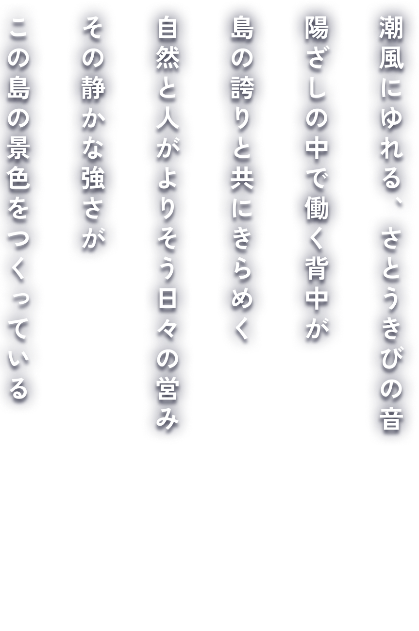 フロントテキスト2