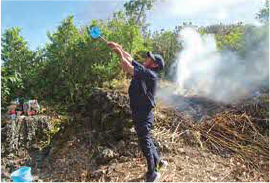 北区雨乞い画像