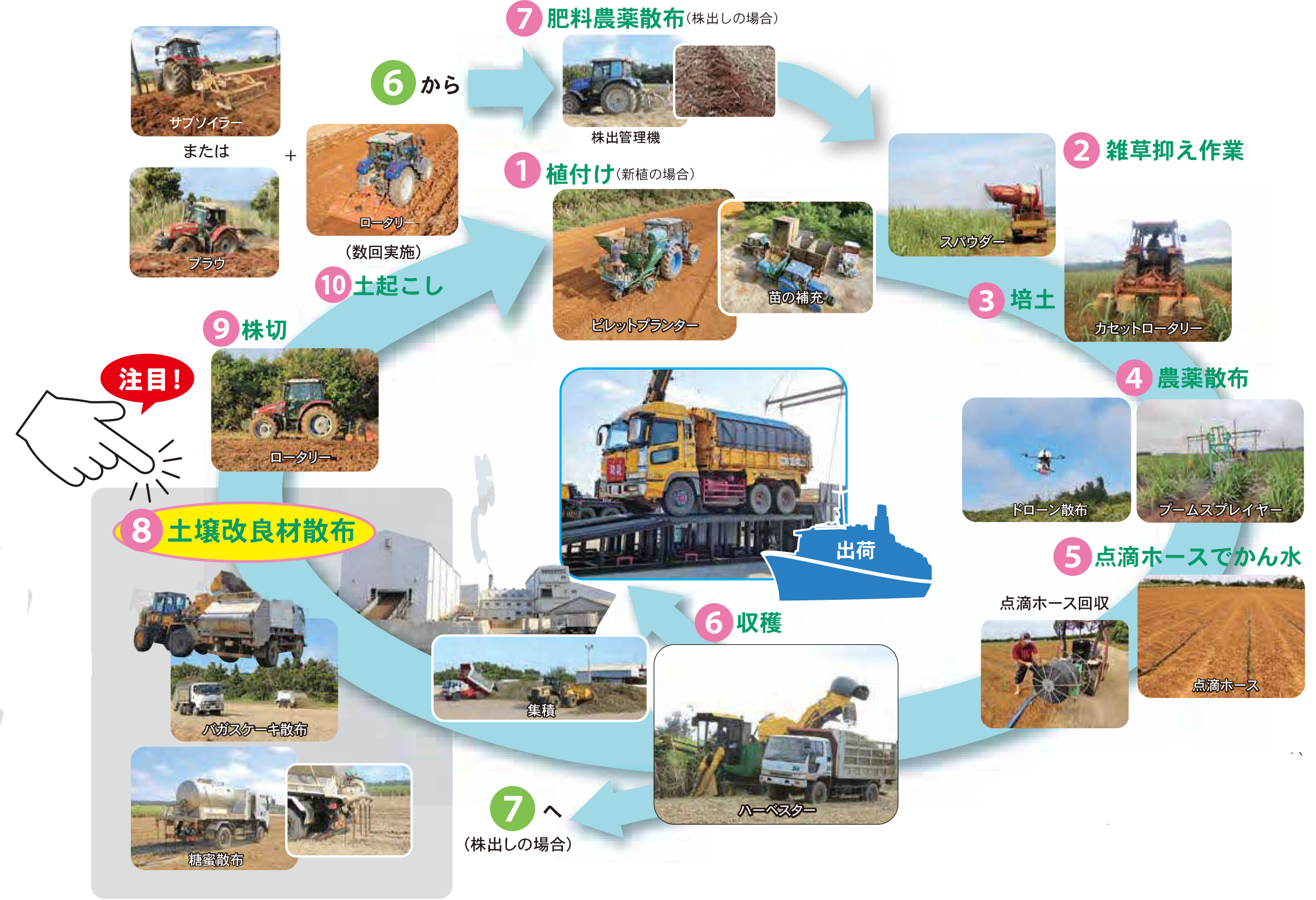 サトウキビ最大の流れ