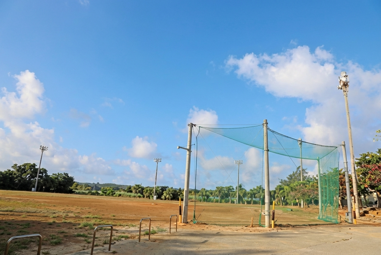 南大東村国民運動場画像