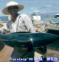 フィシング画像