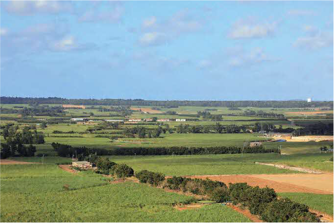日の丸山展望台から望む村内の風景の画像