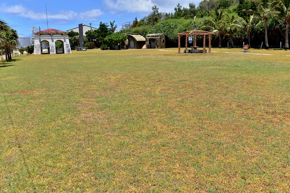 キャンプ場画像