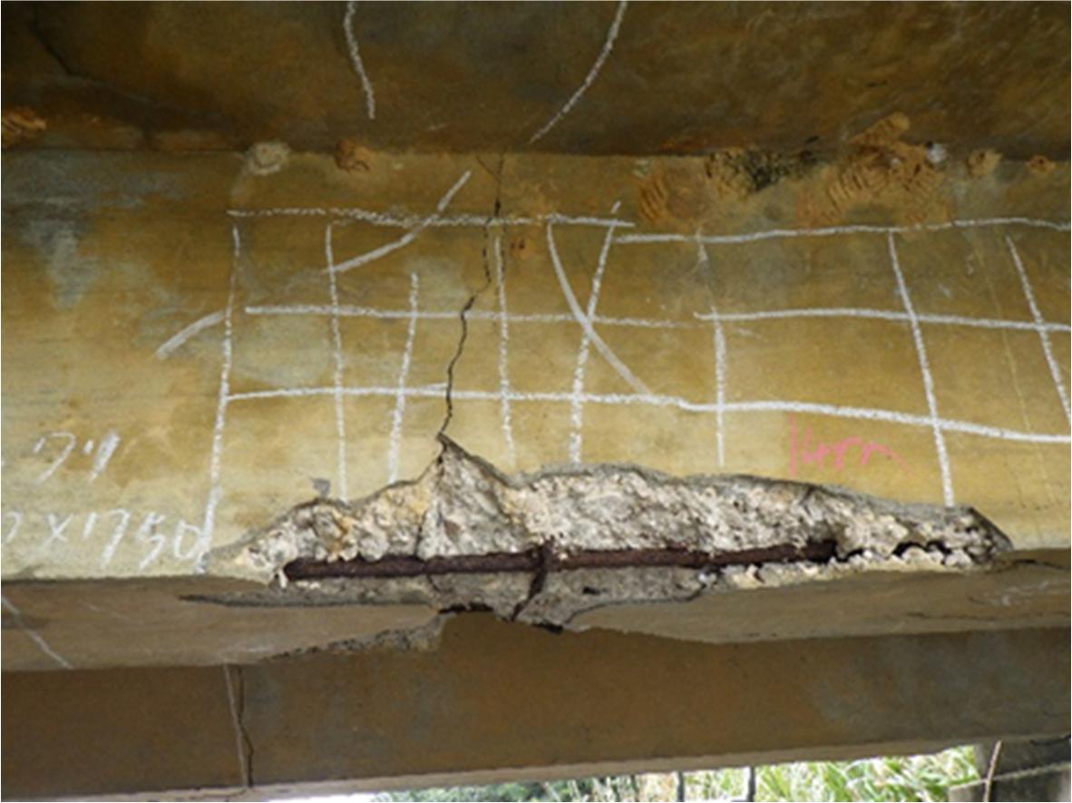 写真-1 橋梁の損傷事例（真玉橋）の画像