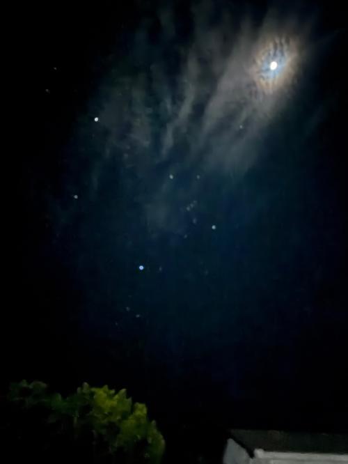 庭で見れる空