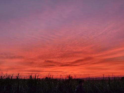 夕焼け