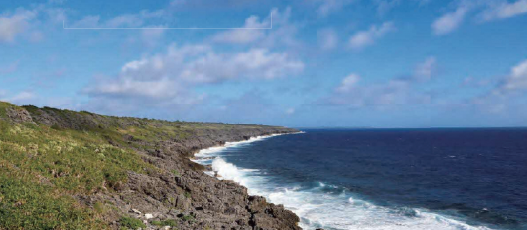 南大東島の自然